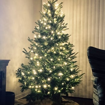 catchy collections of does home depot sell real christmas catchy collections of does home depot sell real christmas