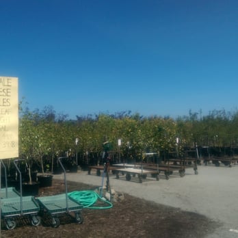 Kent East Hill Nursery 67 Photos 27 Reviews Nurseries Photo Of Kent East Hill Nursery Wa United States The Trees