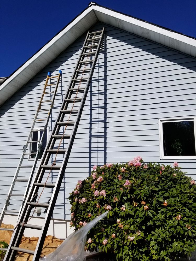 Safe Heaven Janitorial and Maintenance Services