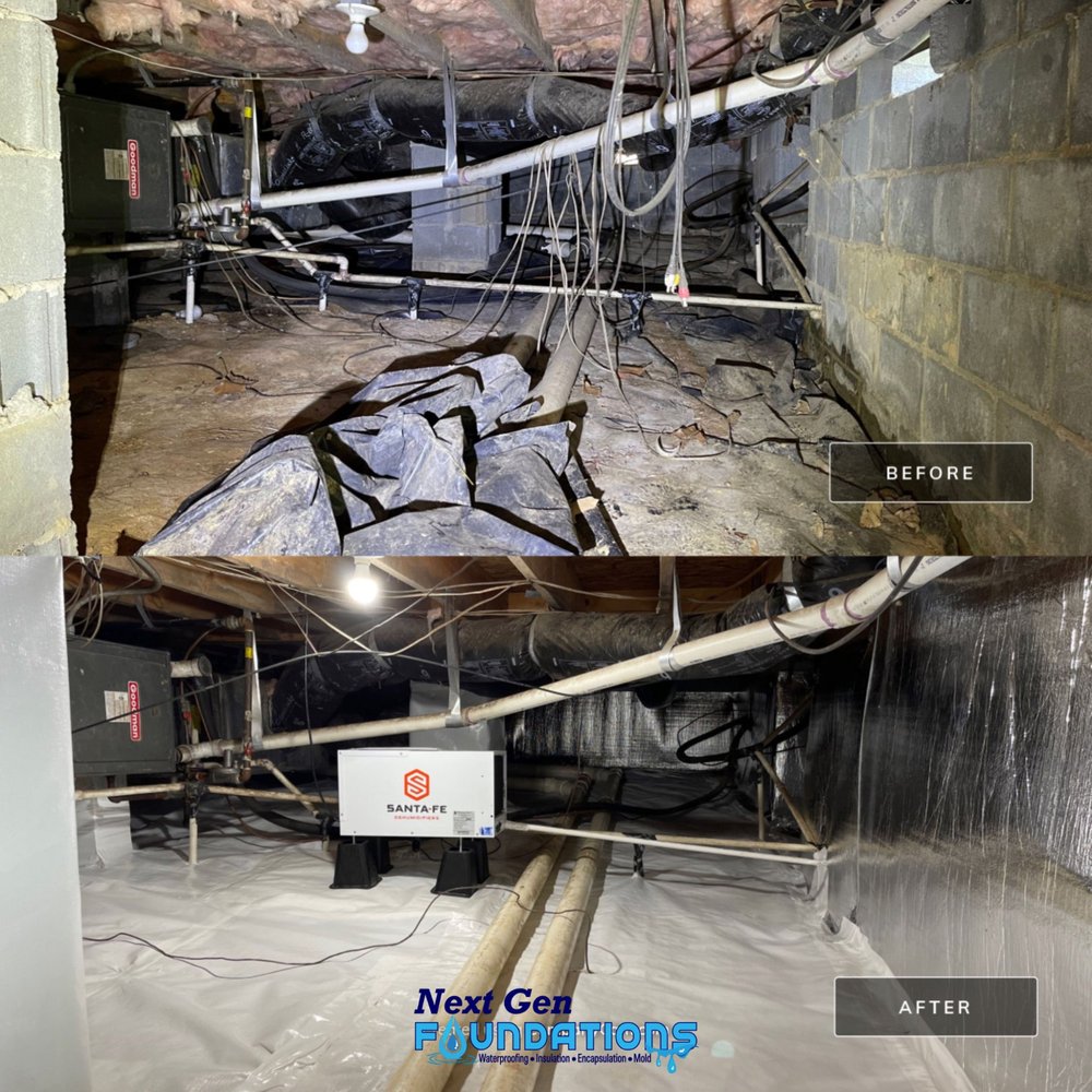 Next Gen Foundations