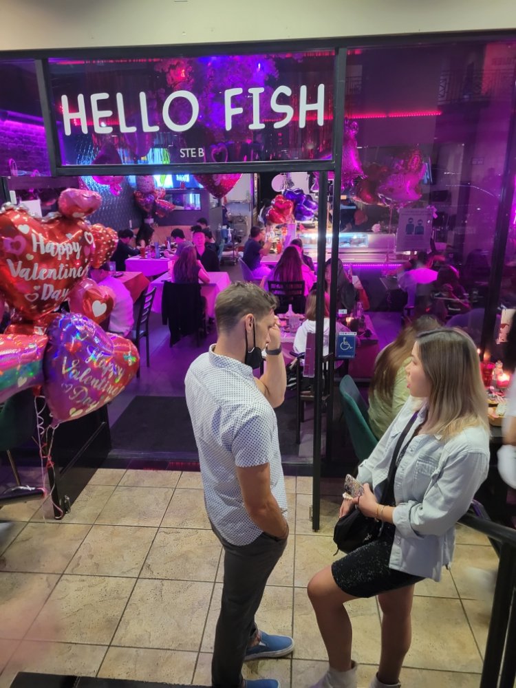 Hello Fish