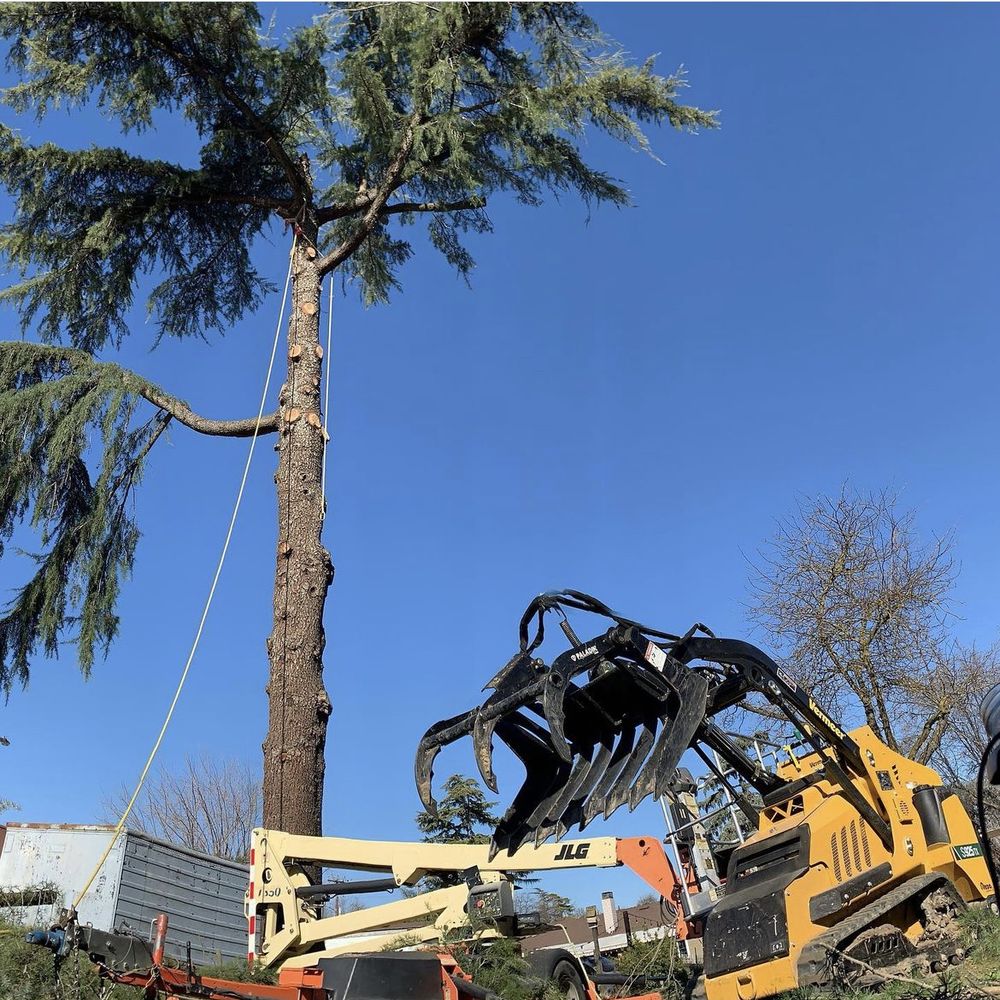 The Tree Guys LLC