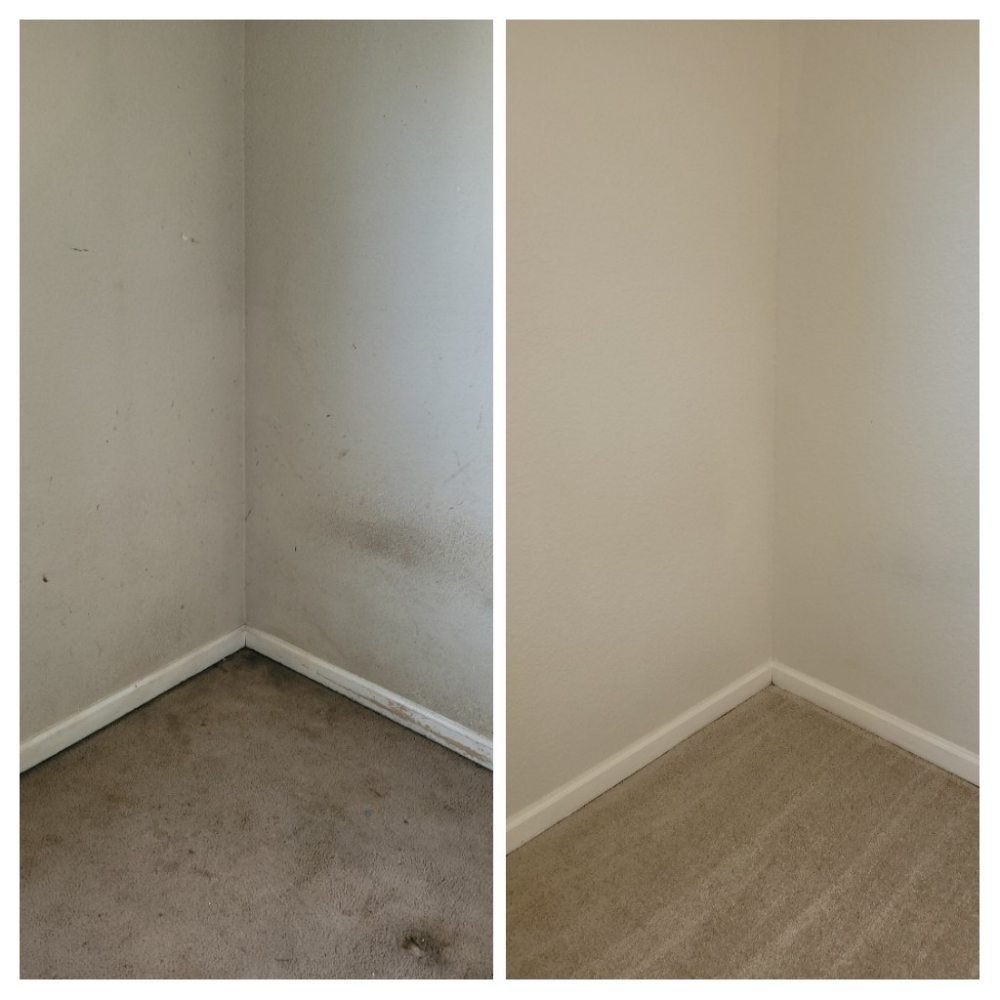 Pure Clean Professionals Cleaning Services