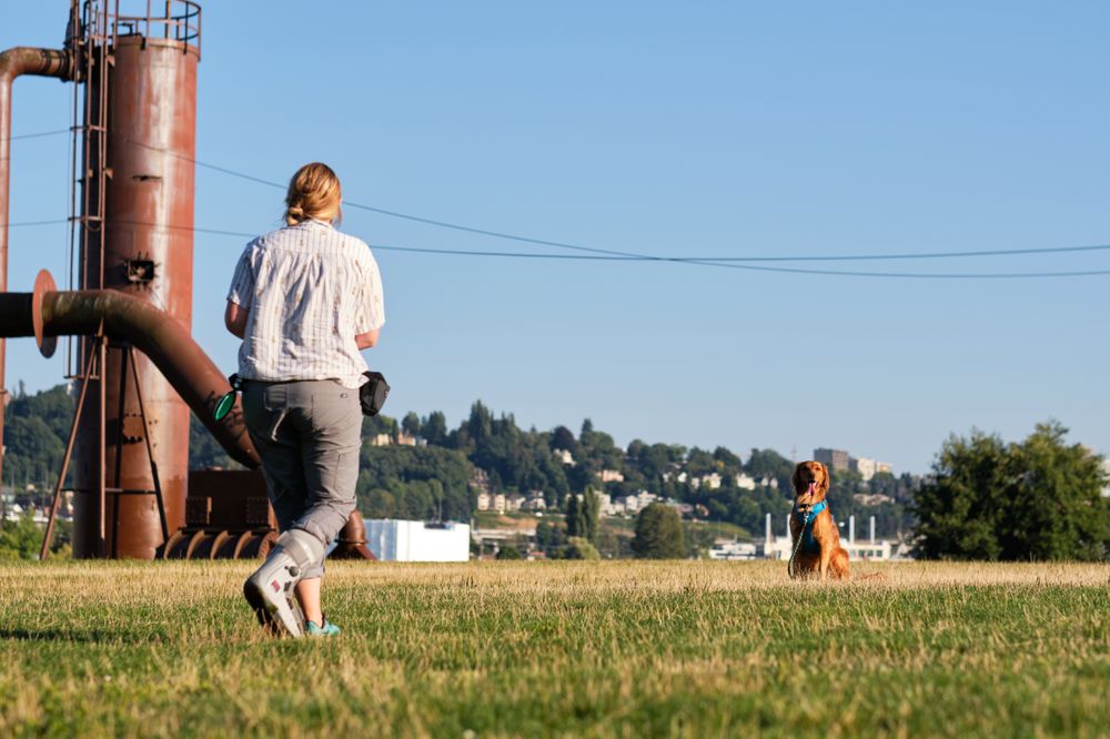 Puget Sound Pets