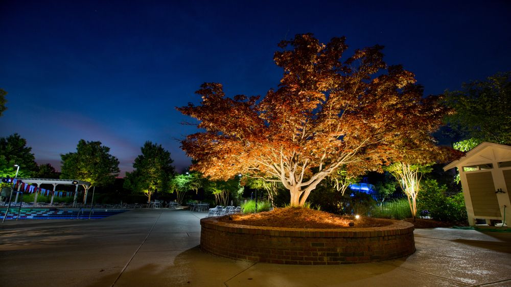 Bolt Outdoor Lighting Pros