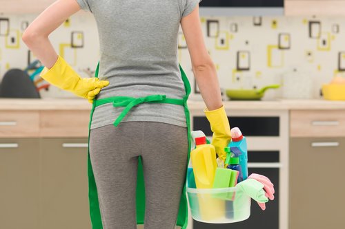 Sunshine and Smiles Cleaning Service
