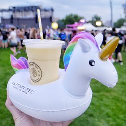 Electric Zoo Festival 299 Photos 126 Reviews Music Venues 1 Electric Zoo