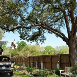 Central Texas Tree Service gift card