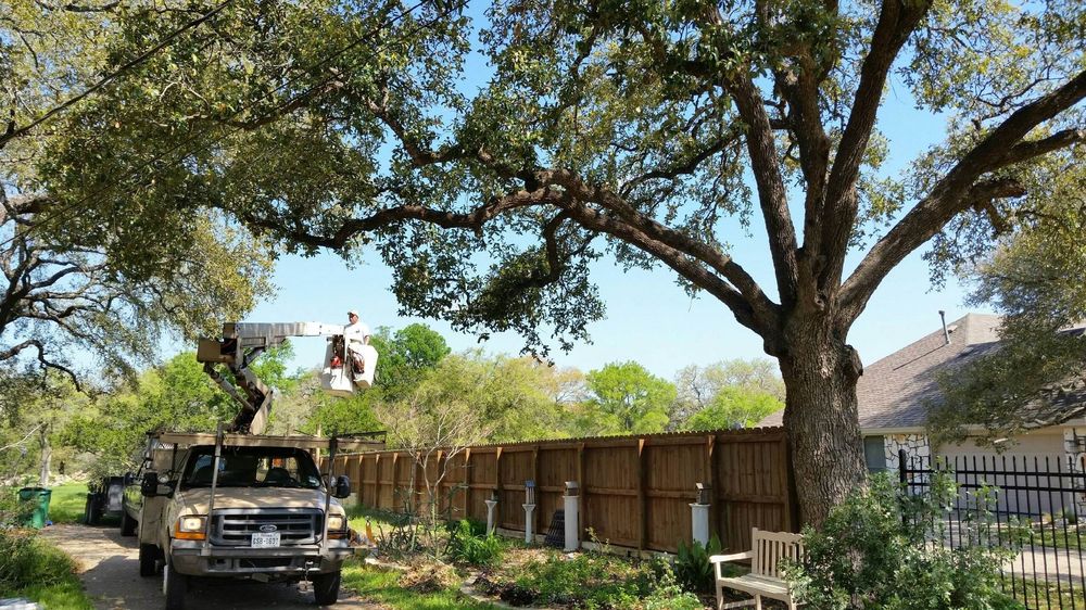 Texas Tree Service 21 Photos & 12 Reviews Tree Services Boerne