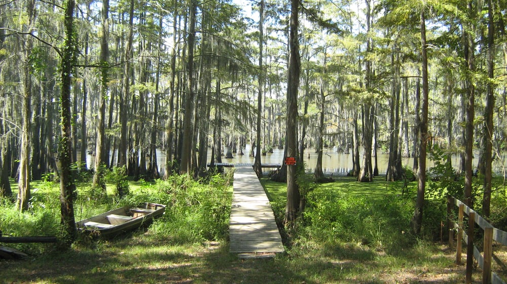 Saline Lake Rv Park Campgrounds 544 Stumps Camp Rd, Winnfield, LA