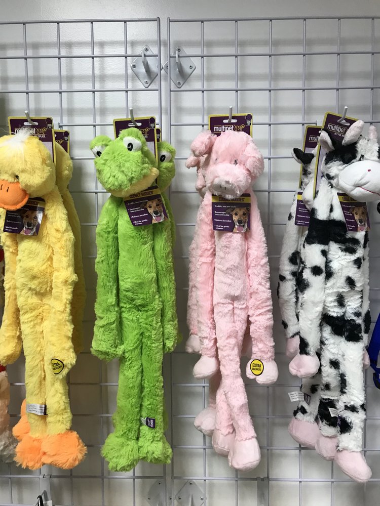 puppylicious puppy boutique