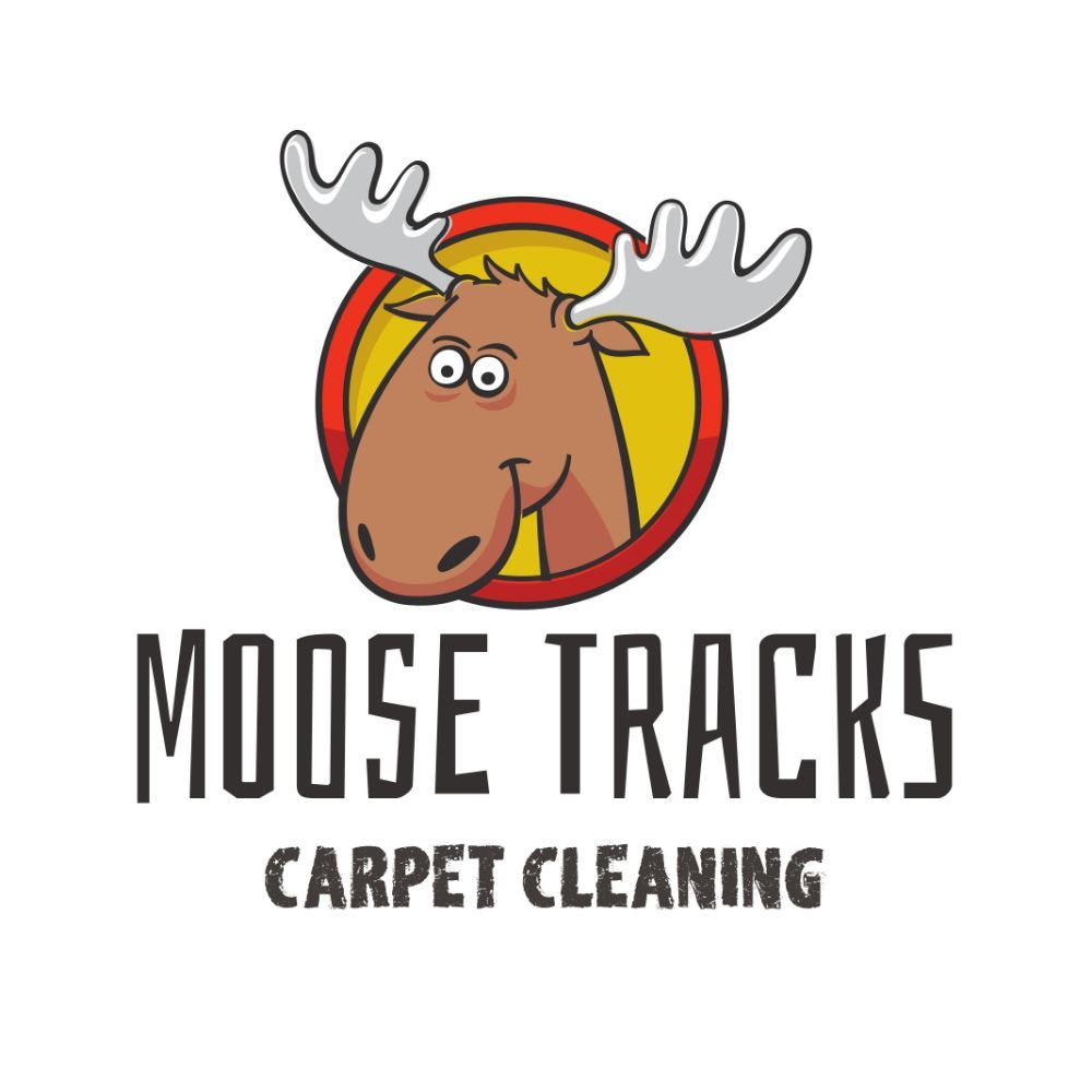 Moose tracks Carpet cleaning