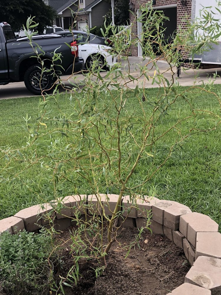 Mother Nature's Lawns & Landscapes