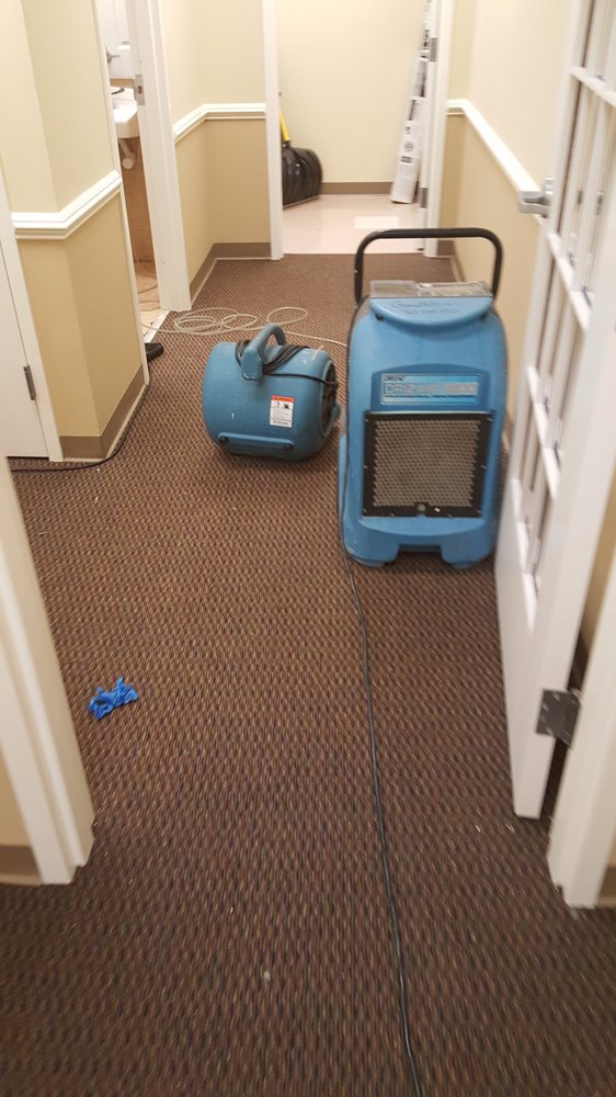 Nexters Restoration Services