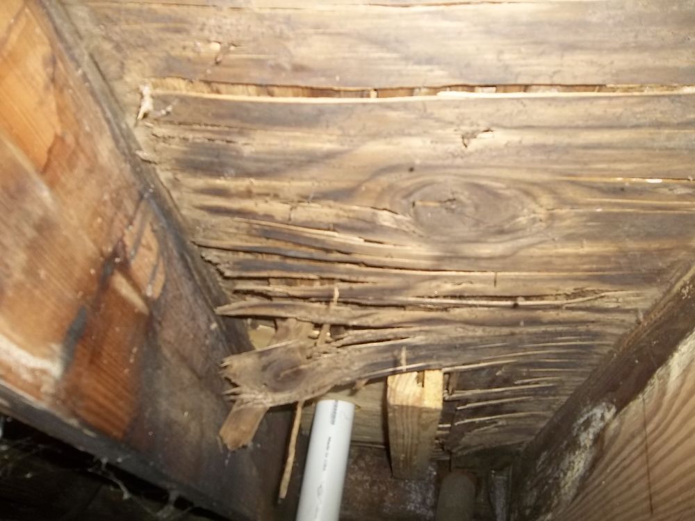 Home Inspector from Hell