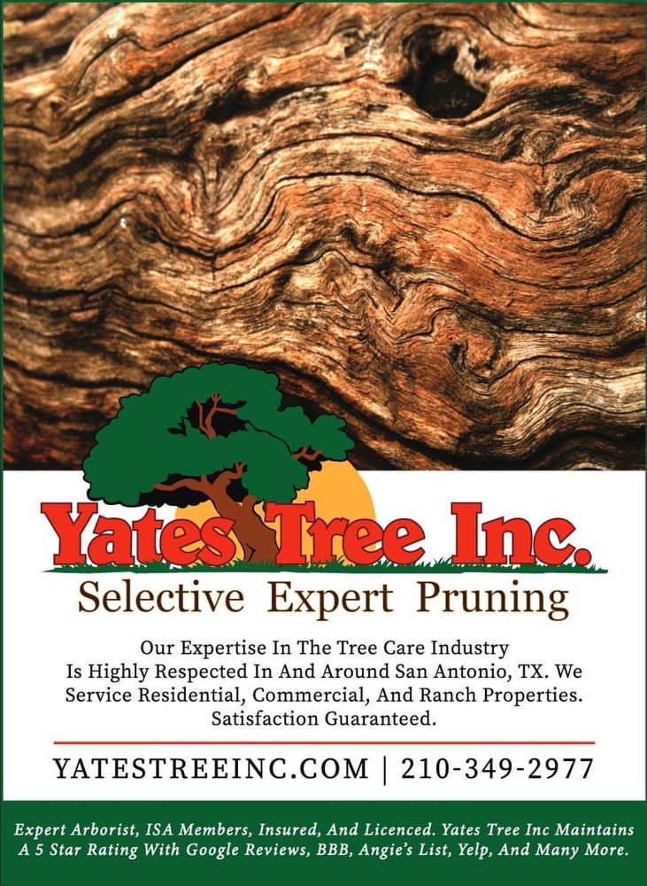 Yates Tree