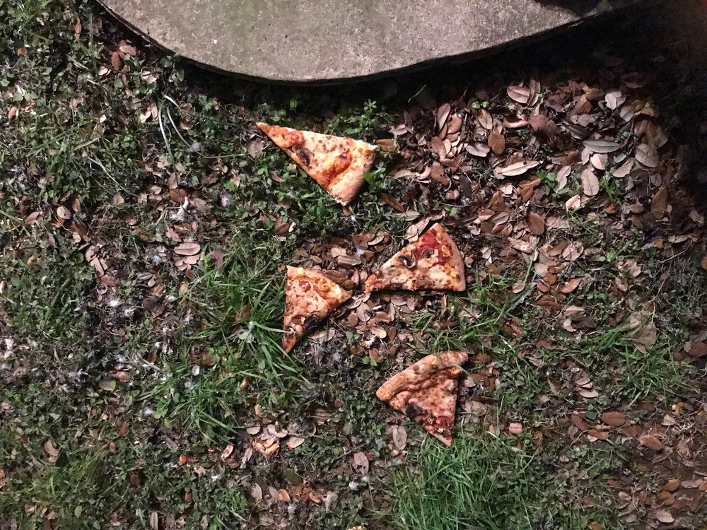 Papa Johns Pizza
