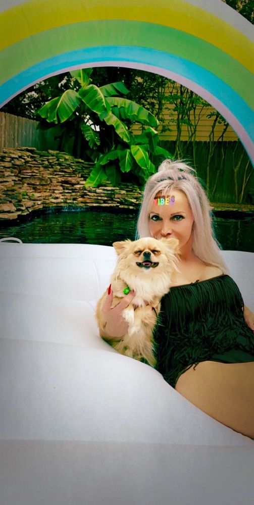 Harbor Town Dog Show