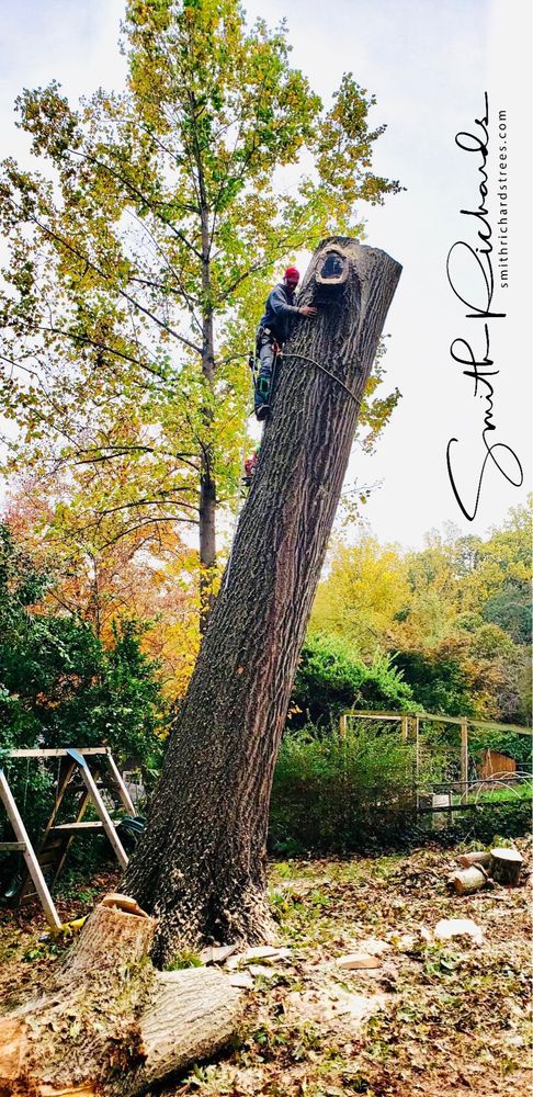 Smith Richards Land Management