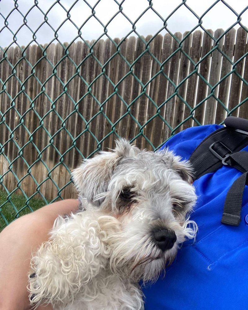 Willow Creek Kennels