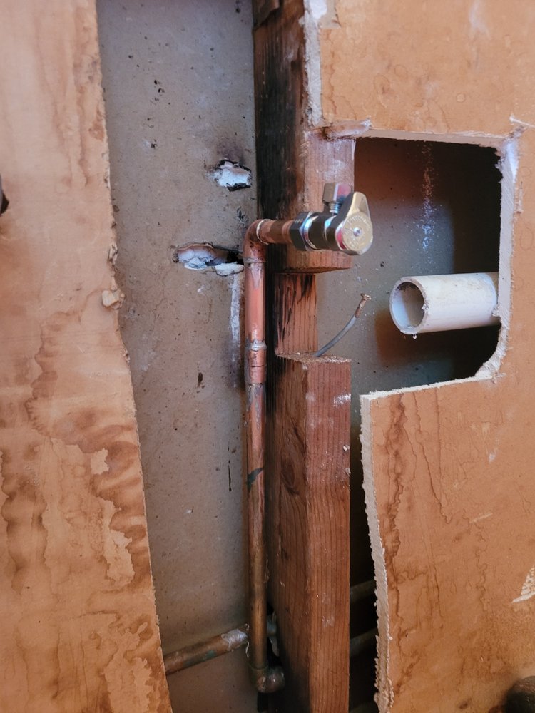 image of business Professional Poo Services