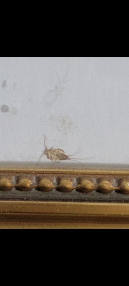 Surestay Hotel By Best Western Morganton