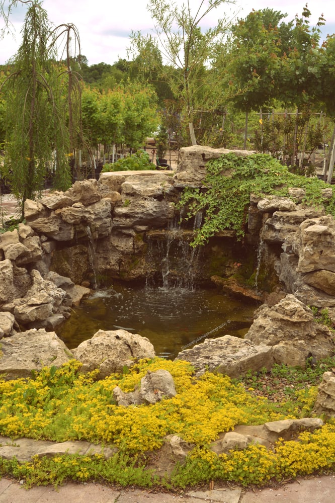 Carson’s Nurseries Nurseries & Gardening 6607 S Campbell Ave