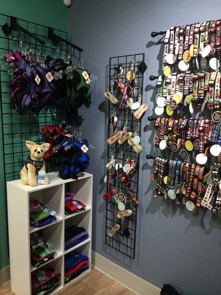 wag boutique 17 reviews pet shops 301 brookstown ave wag boutique 17 reviews pet shops 301 brookstown ave