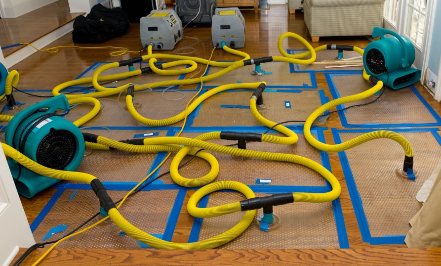 ARS Mold Remediation Specialists