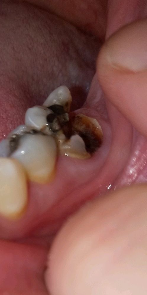 image of business Ohio Urgent Dental