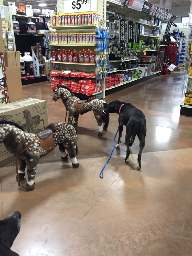 CAL Ranch Stores 61 Photos Department Stores 2849 East 850