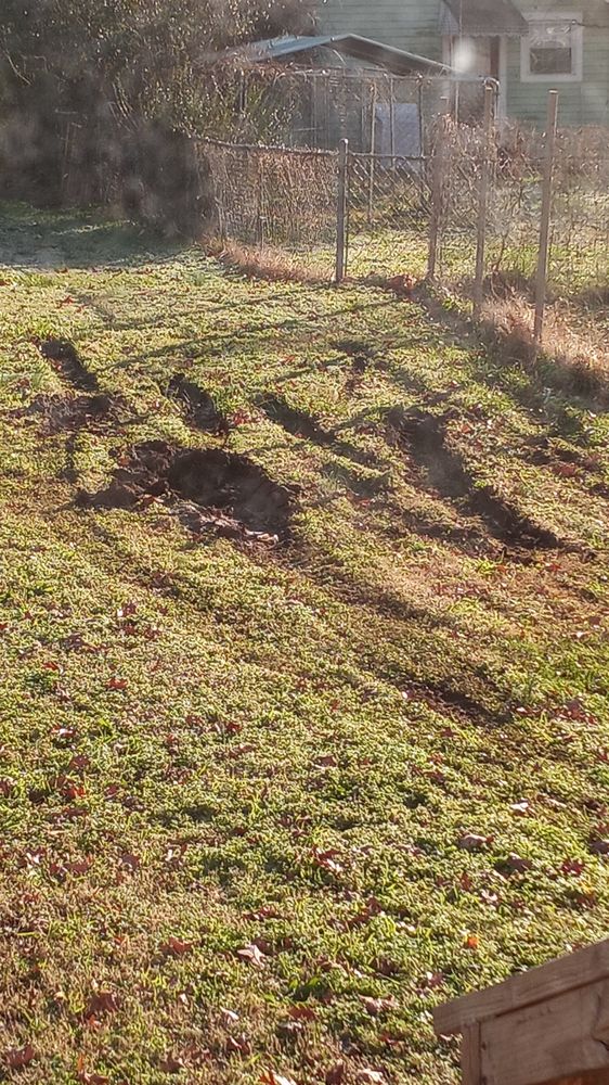 U-Haul Moving & Storage of Piedmont Triad Airport