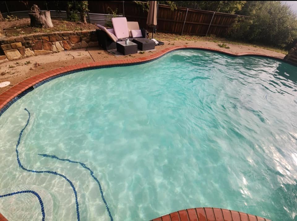 Texas Pointer Pools