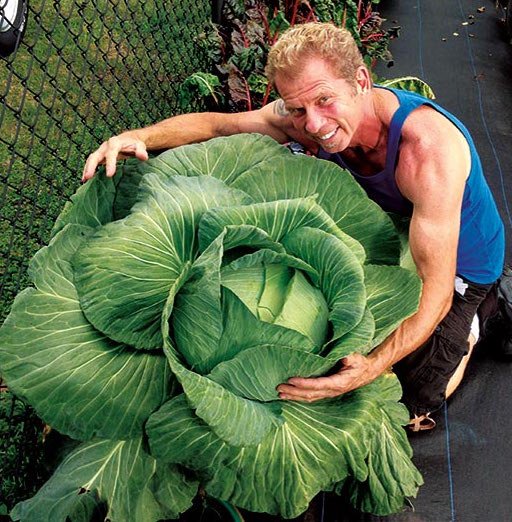FarmDaddy