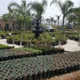 Photos For Sterling Gardens Nursery Yelp Photo Of Sterling Gardens Nursery Moorpark Ca United States Is