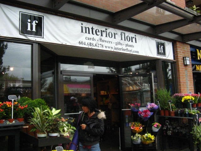 Interior Flori