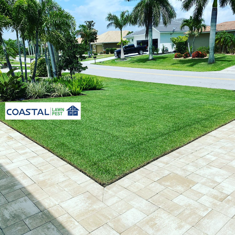 Coastal Lawn And Pest