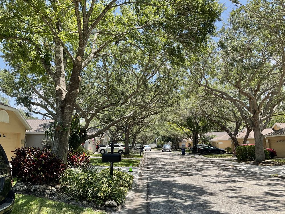 Clean Cut Tree Service
