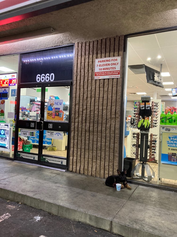 7-Eleven