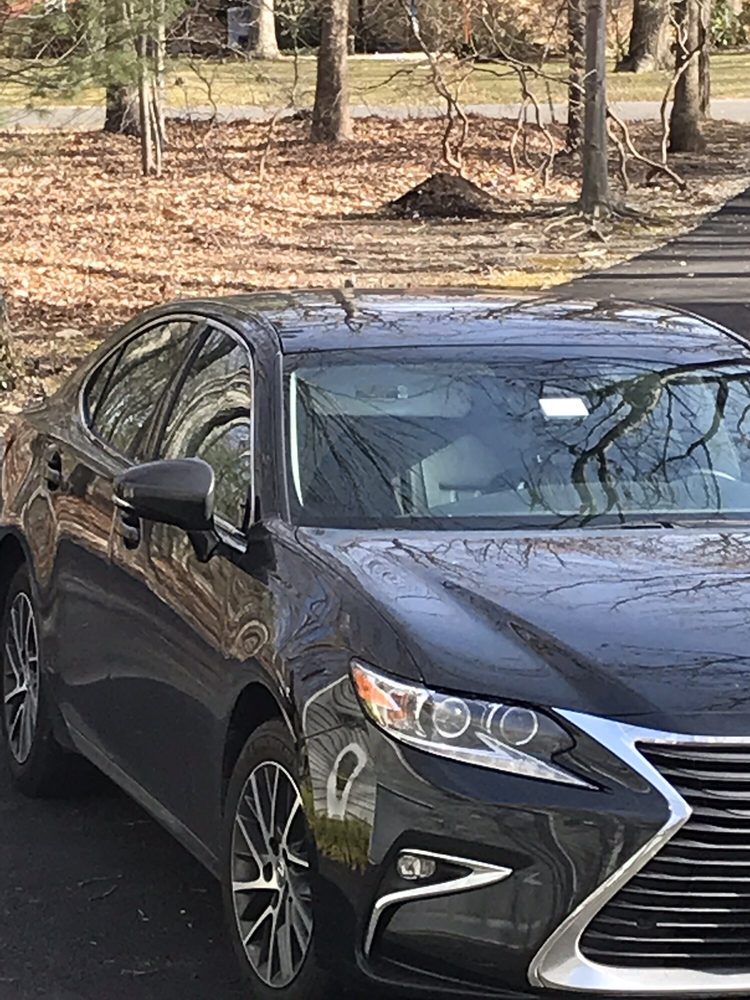 Lindsay Lexus of Alexandria