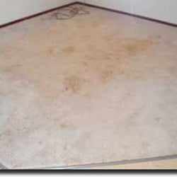 Pro Choice Carpet Cleaning Closed 49 Photos 45 Reviews San Jose Dry Carpet Cleaning