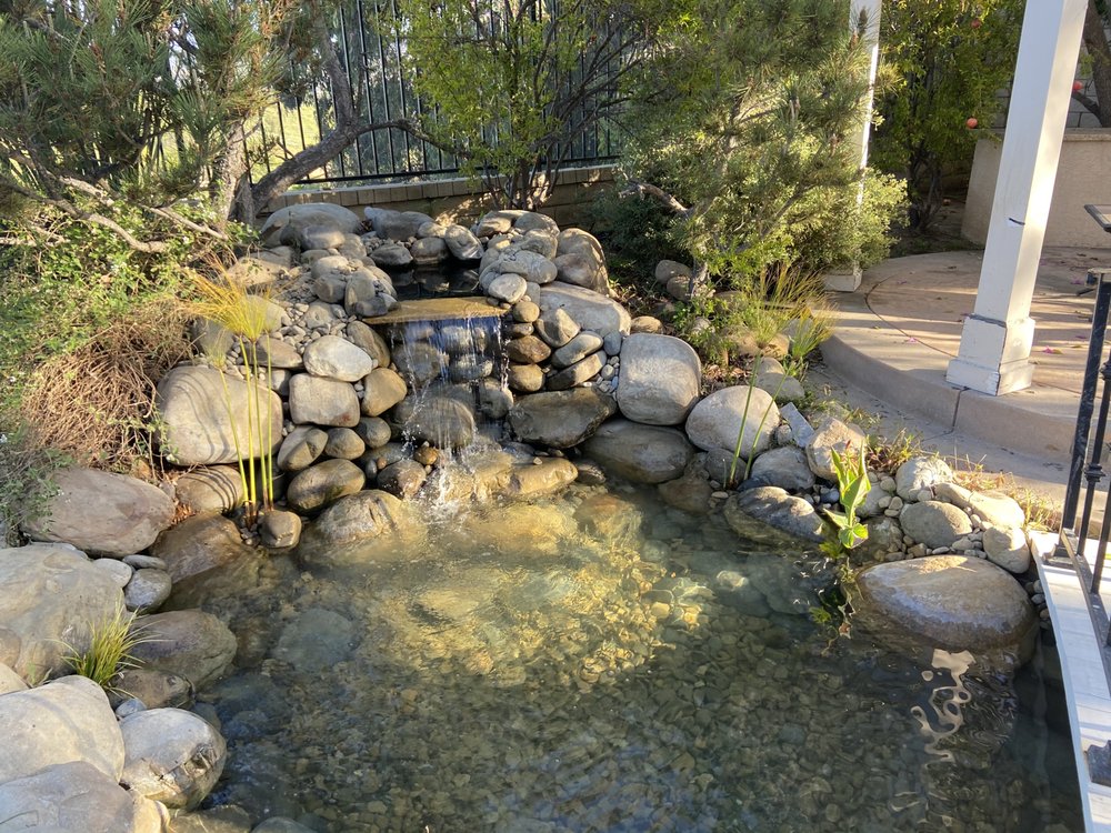 Pacific Ponds