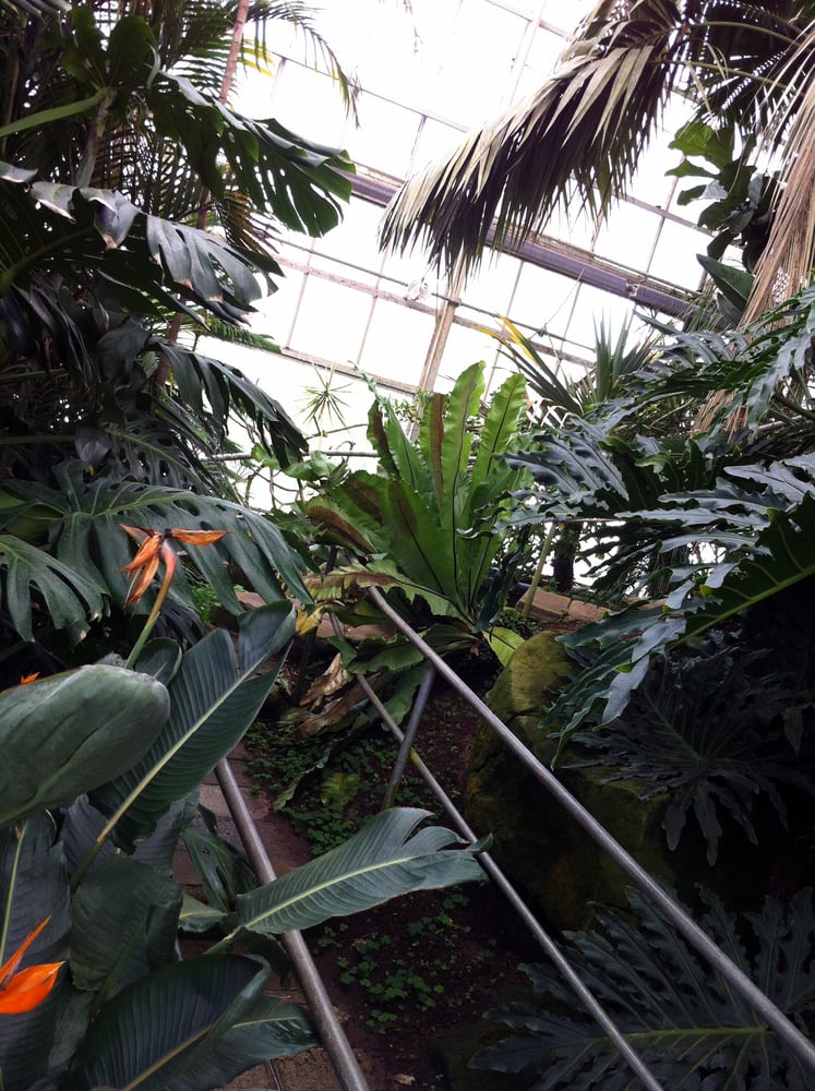 Photos for Ott�s Exotic Plants Yelp