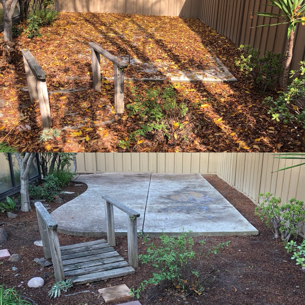 Frank’s Yard CleanUp 30 Photos & 60 Reviews Landscaping Blossom