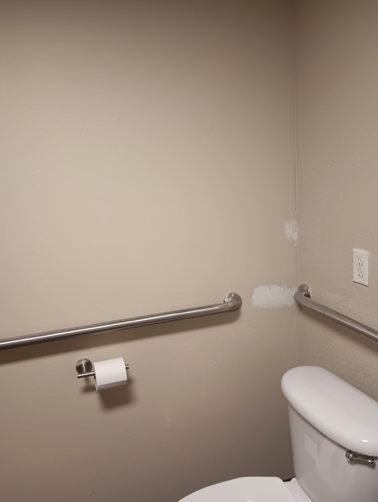 Custom View Pro Painting