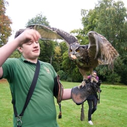 Dalhousie Castle Hotel 37 Photos 11 Reviews Hotels Bonnyrigg Photo Of Dalhousie Castle Hotel Edinburgh Midlothian United Kingdom Falconry Lessons