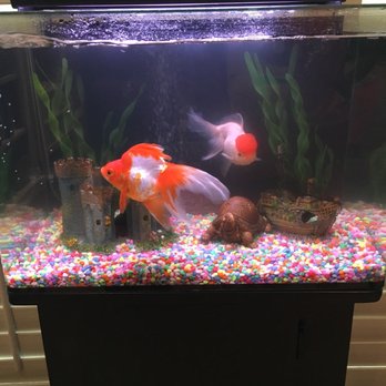 aquatech aquarium service 57