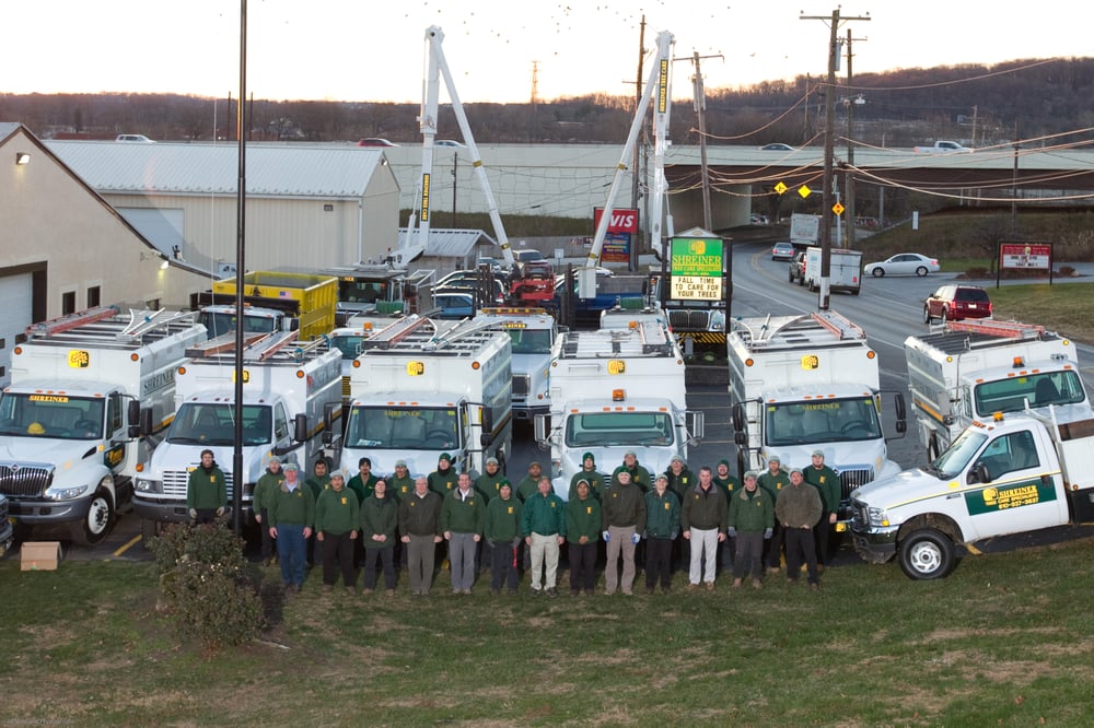 Shreiner Tree Care Tree Services 334 S Henderson Rd, King of