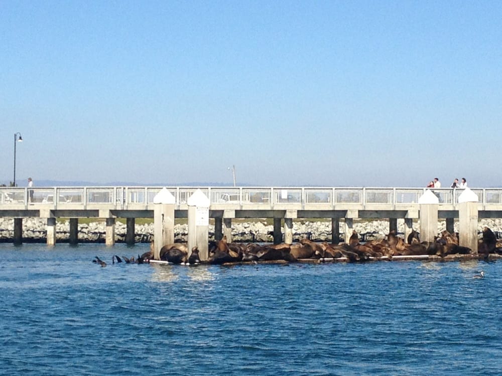 Elkhorn Slough 47 Photos & 17 Reviews Parks 8022 Moss Landing Rd