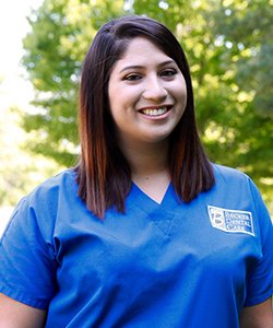 image of business Peninsula Dental Care